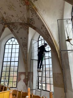 Professionele schoonmaak